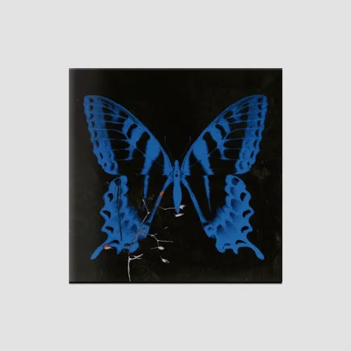 송소희  - 1st EP [공중무용]