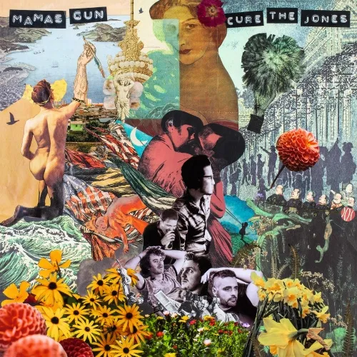 Mamas Gun - [Cure the Jones] (LP)