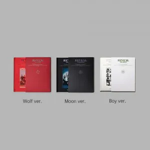 [랜덤] 더보이즈 (THE BOYZ) - 정규1집 [REVEAL] (Wolf ver. / Moon ver. / Boy ver.)