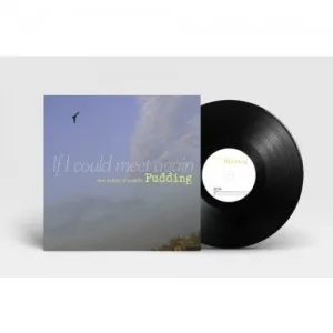 푸딩 (Pudding) - 정규1집 [If I Could Meet Again] (2LP)