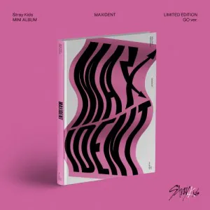 Stray Kids (스트레이 키즈) - 미니 [MAXIDENT] (GO ver.)(한정반)