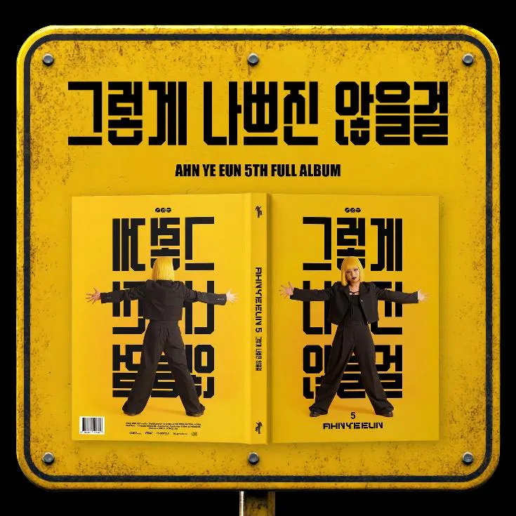 안예은 - 그렇게 나쁘진 않을걸