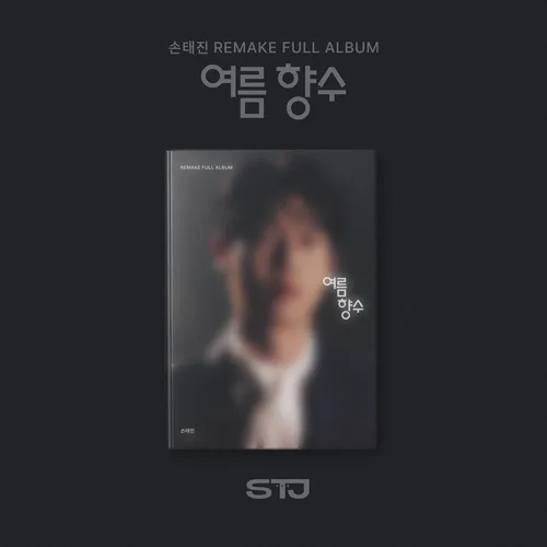 손태진 - 리메이크 정규1집 여름 향수(포토북)