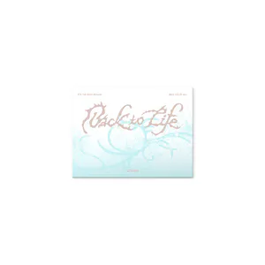 &TEAM (앤팀) - KR 1st Mini Album [Back to Life] Photocard Box (Mini CD-R ver.)