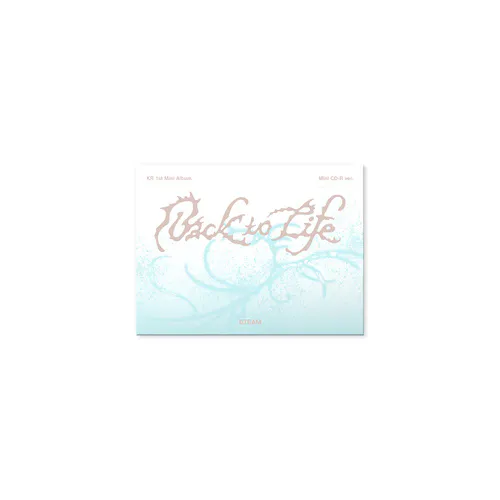 &TEAM (앤팀) - KR 1st Mini Album [Back to Life] Photocard Box (Mini CD-R ver.)