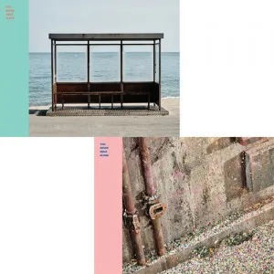 [랜덤] 방탄소년단 (BTS) - 정규 2집 리패키지 [YOU NEVER WALK ALONE]