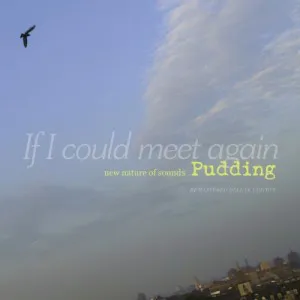 푸딩 (Pudding) - 데뷔앨범 [If I Could Meet Again] (Remastered Deluxe Edition, 2CD)