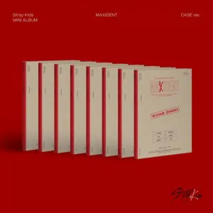 [랜덤] Stray Kids (스트레이 키즈) - 미니 [MAXIDENT] (CASE ver.)